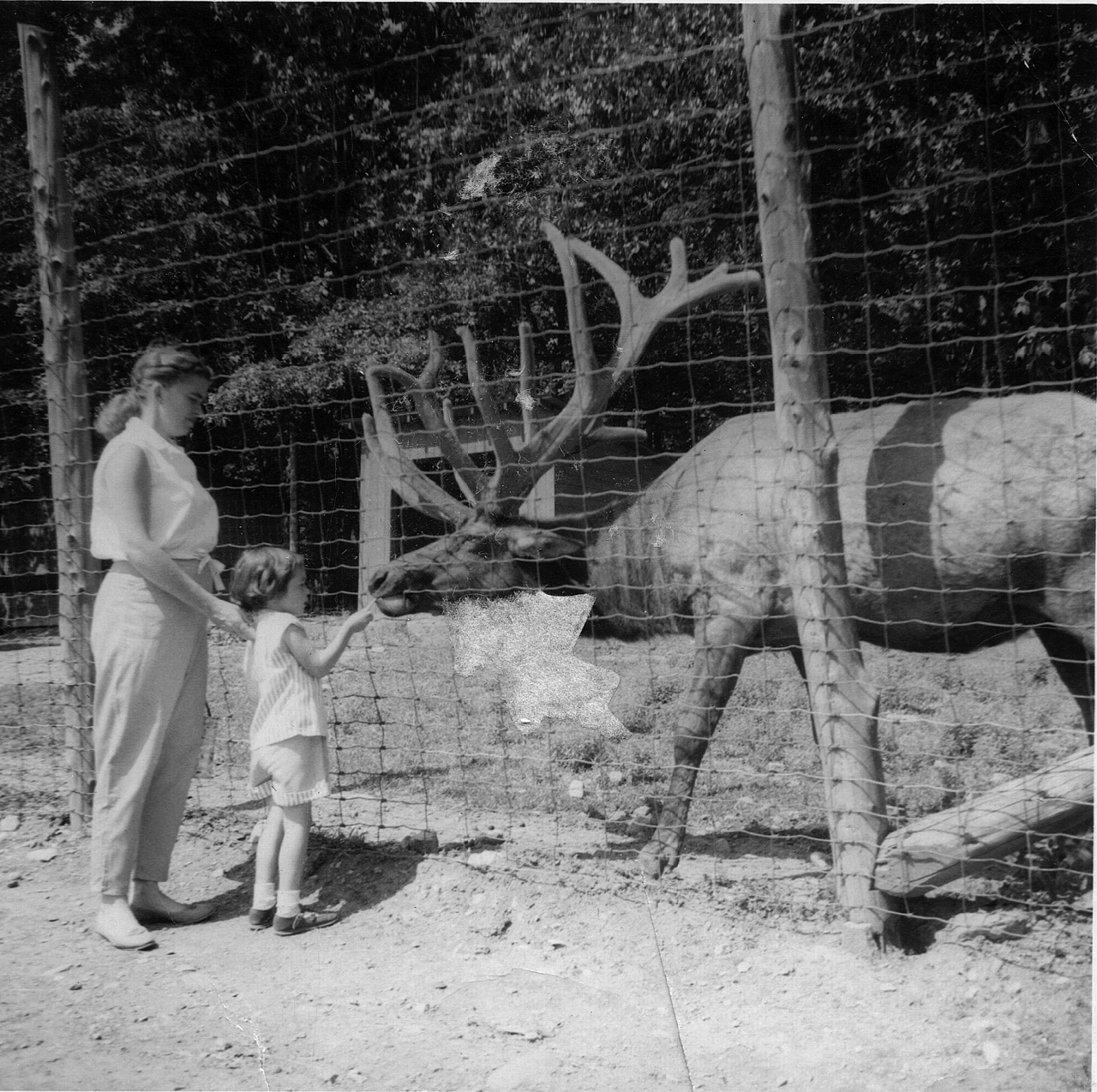 1958-07-00, 001, Irene, Linda