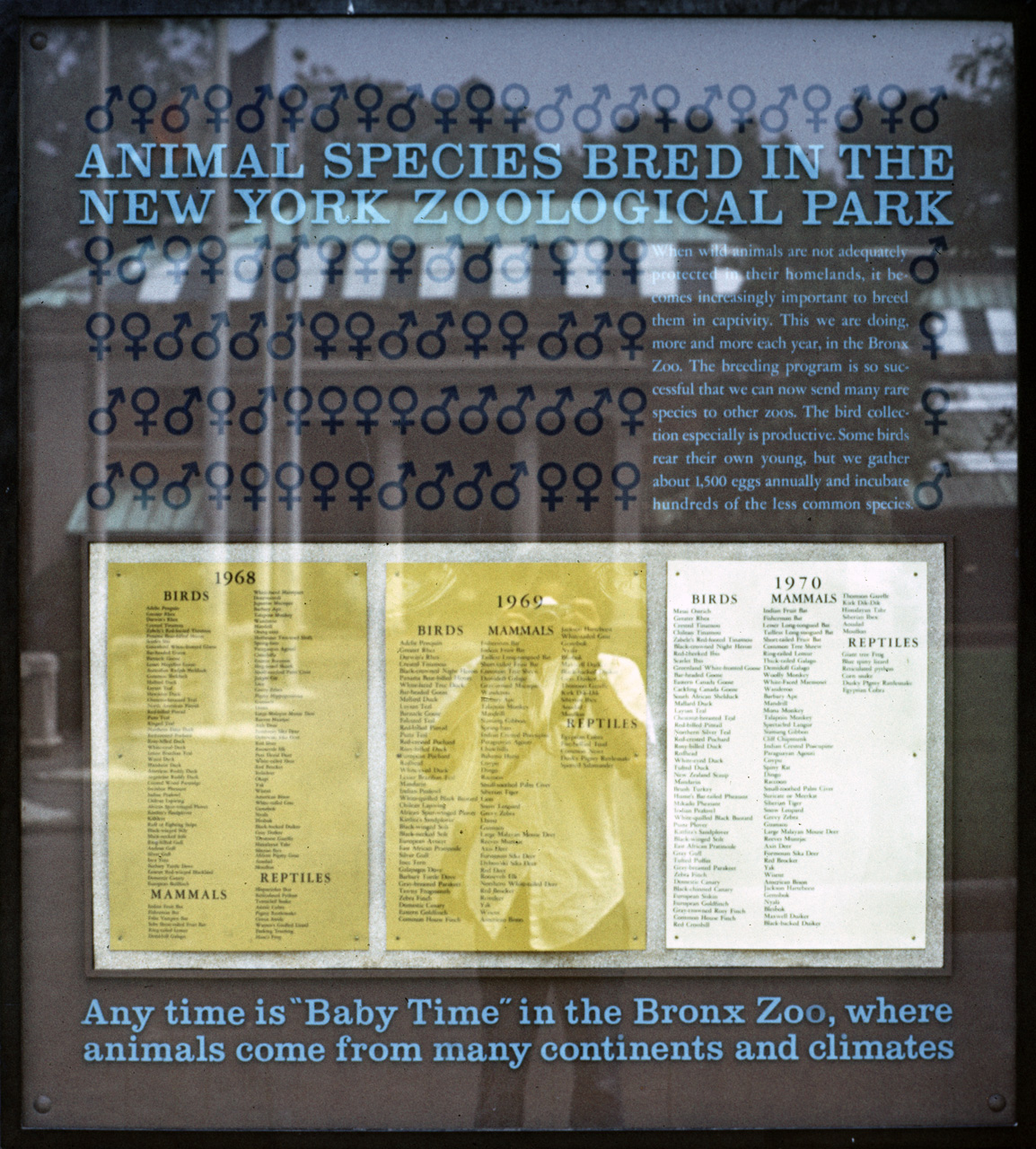 71-08-01, 001, List (Zoological), Bronx Zoo, NY