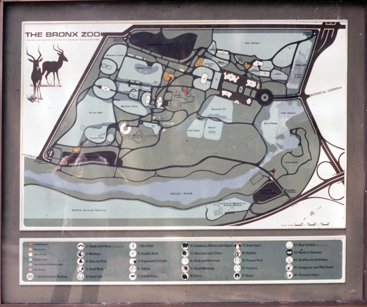 71-08-01, 003, Map of Zoo, Bronx Zoo, NY