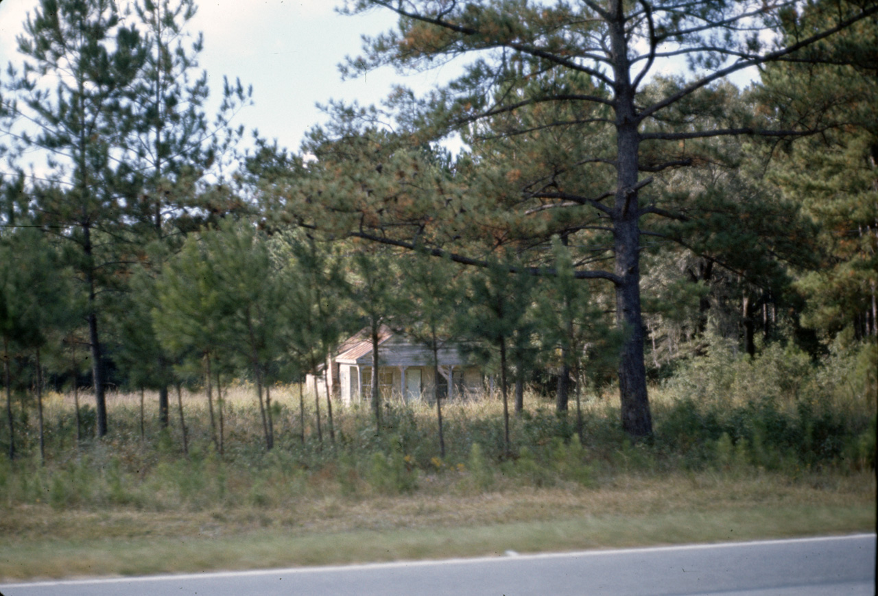 1974-07-01, 013, Along Rt 95 South, Georgia