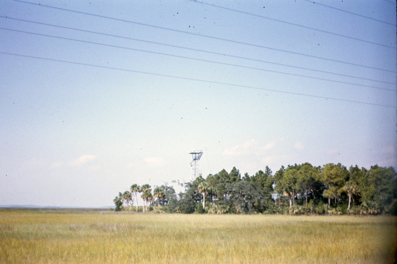 1974-07-01, 015, Along Rt 95 South, Georgia