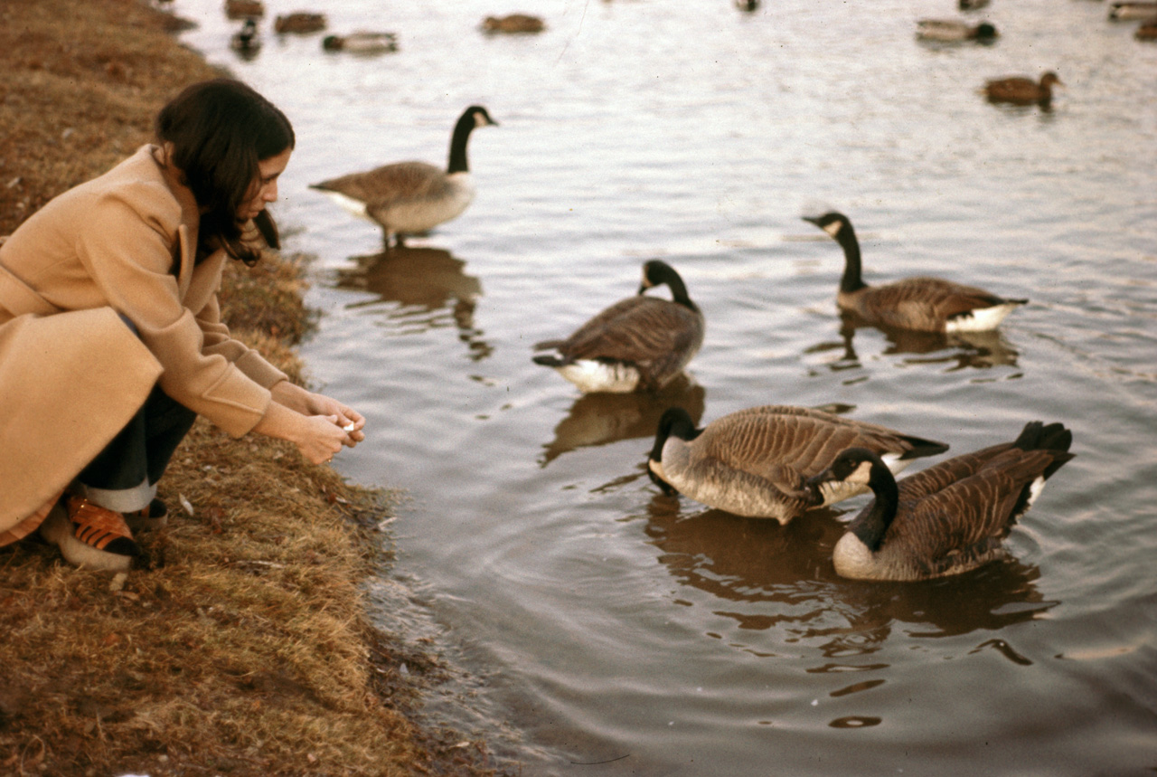 1976-01-01, 012, Linda Feeding Ducks in Saddle Brook Lake, NJ