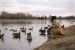 1976-01-01, 010, Linda Feeding Ducks in Saddle Brook Lake, NJ