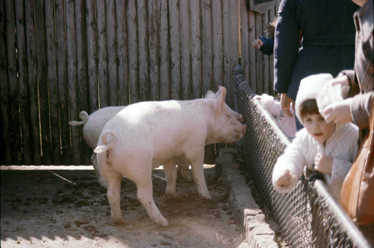 1976-05-01, 006, Turlte Back Zoo, New Jersey