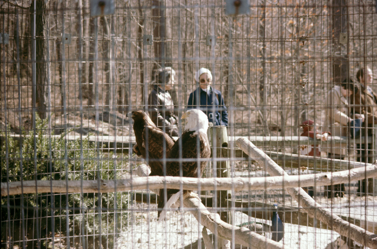 1976-05-01, 010, Turlte Back Zoo, New Jersey