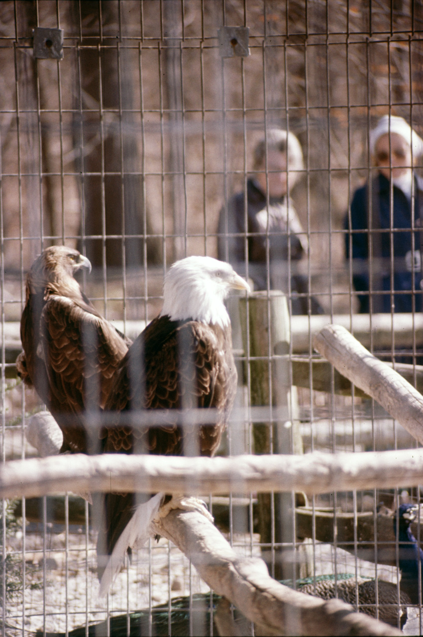 1976-05-01, 011, Turlte Back Zoo, New Jersey