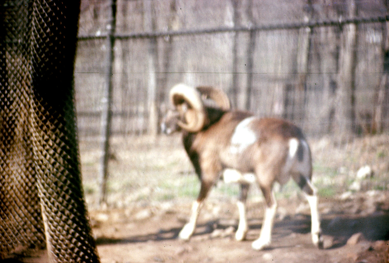 1976-05-01, 025, Turlte Back Zoo, New Jersey