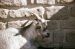 1976-05-01, 014, Turlte Back Zoo, New Jersey