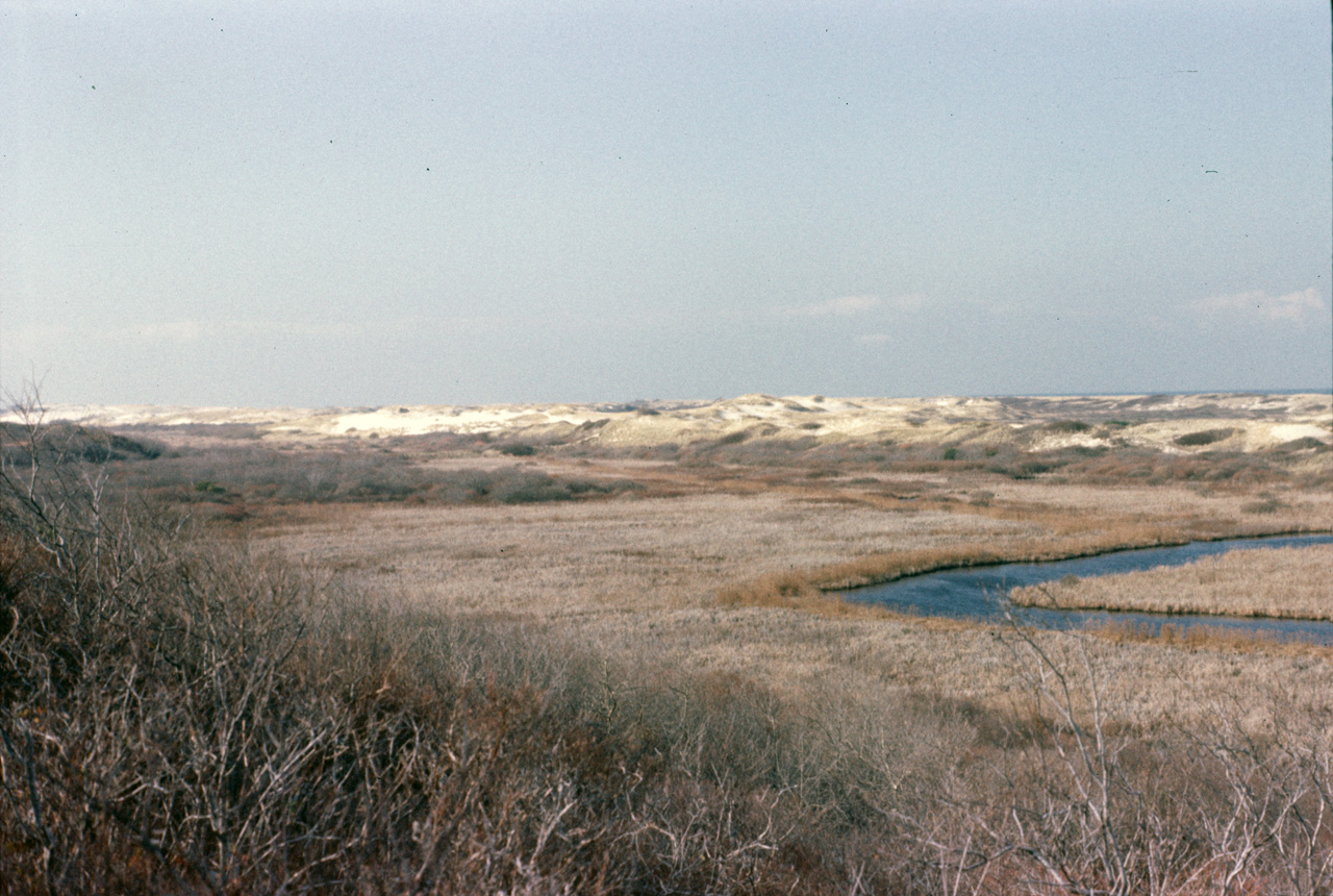 1977-11-24, 032, The Atlantic Ocean, Cape Cod, MA