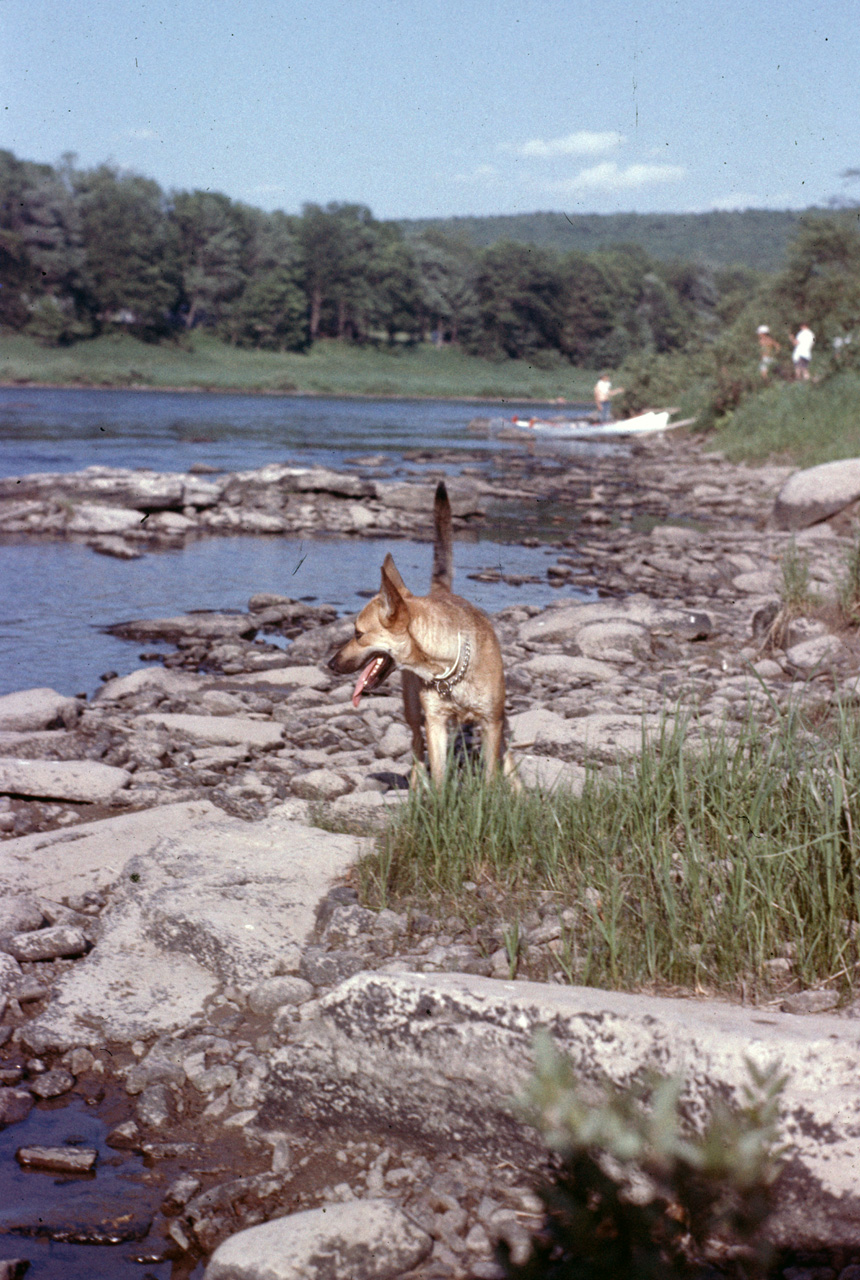 1977-06-01, 007, Rockey, Delaware River, PA