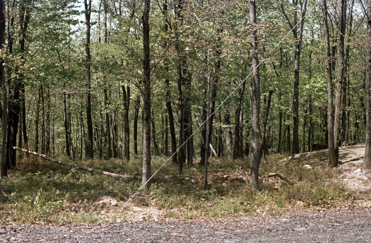 1980-05-01, 001, Land, Dingmans Ferry, PA