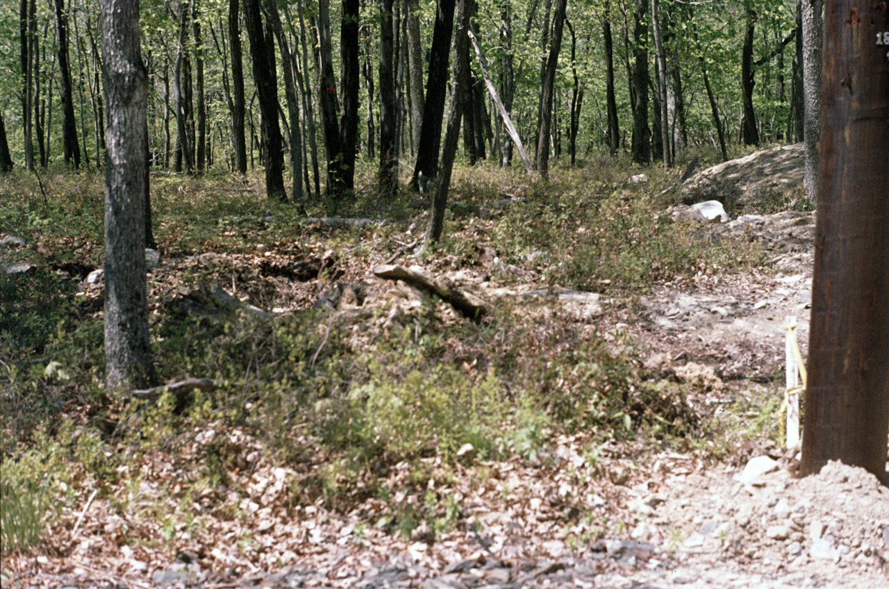 1980-05-01, 003, Land, Dingmans Ferry, PA