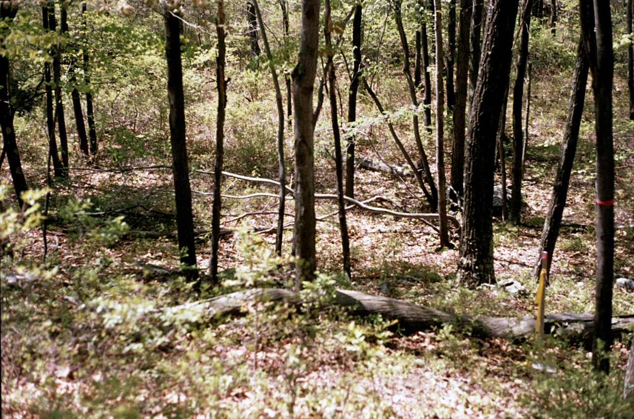 1980-05-01, 007, Land, Dingmans Ferry, PA