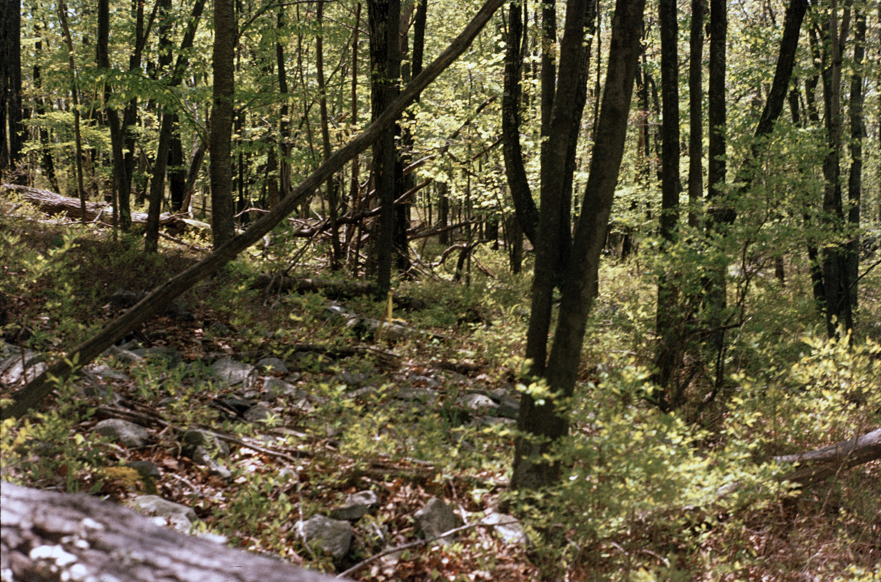 1980-05-01, 009, Land, Dingmans Ferry, PA