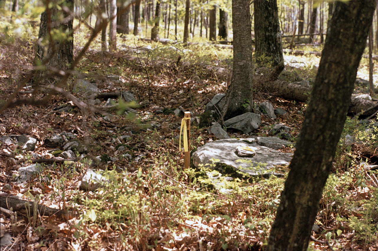 1980-05-01, 010, Land, Dingmans Ferry, PA