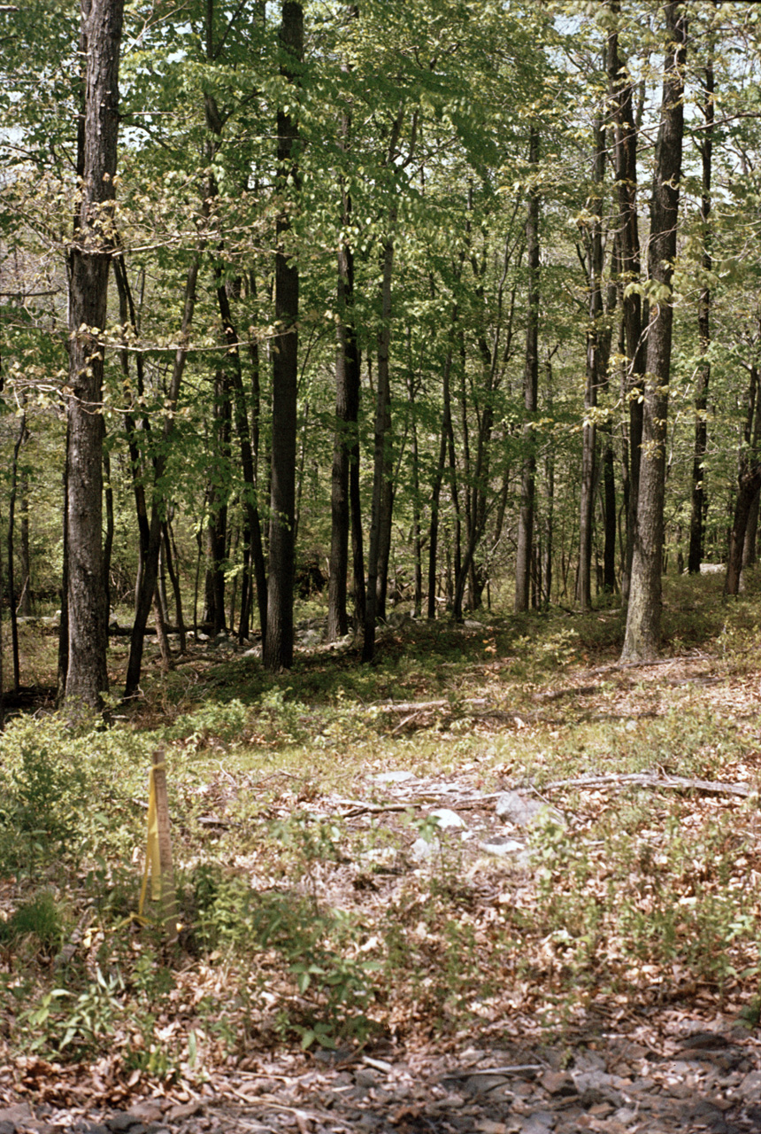 1980-05-01, 012, Land, Dingmans Ferry, PA