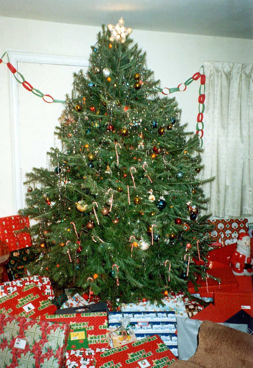 1991-12-25, 004, Christmas Tree, Saddle Brook, NJ