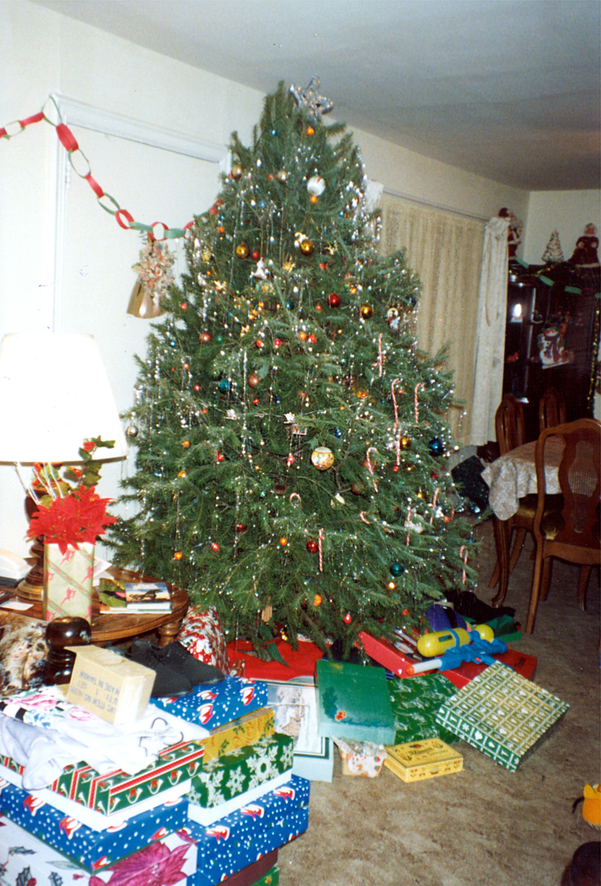 1991-12-25, 005, Tree, Christmas, Saddle Brook, NJ