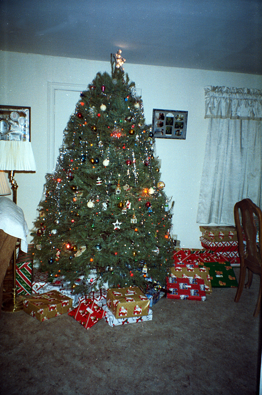 1993-12-25, 022, Christmas Tree, Saddle Brook, NJ