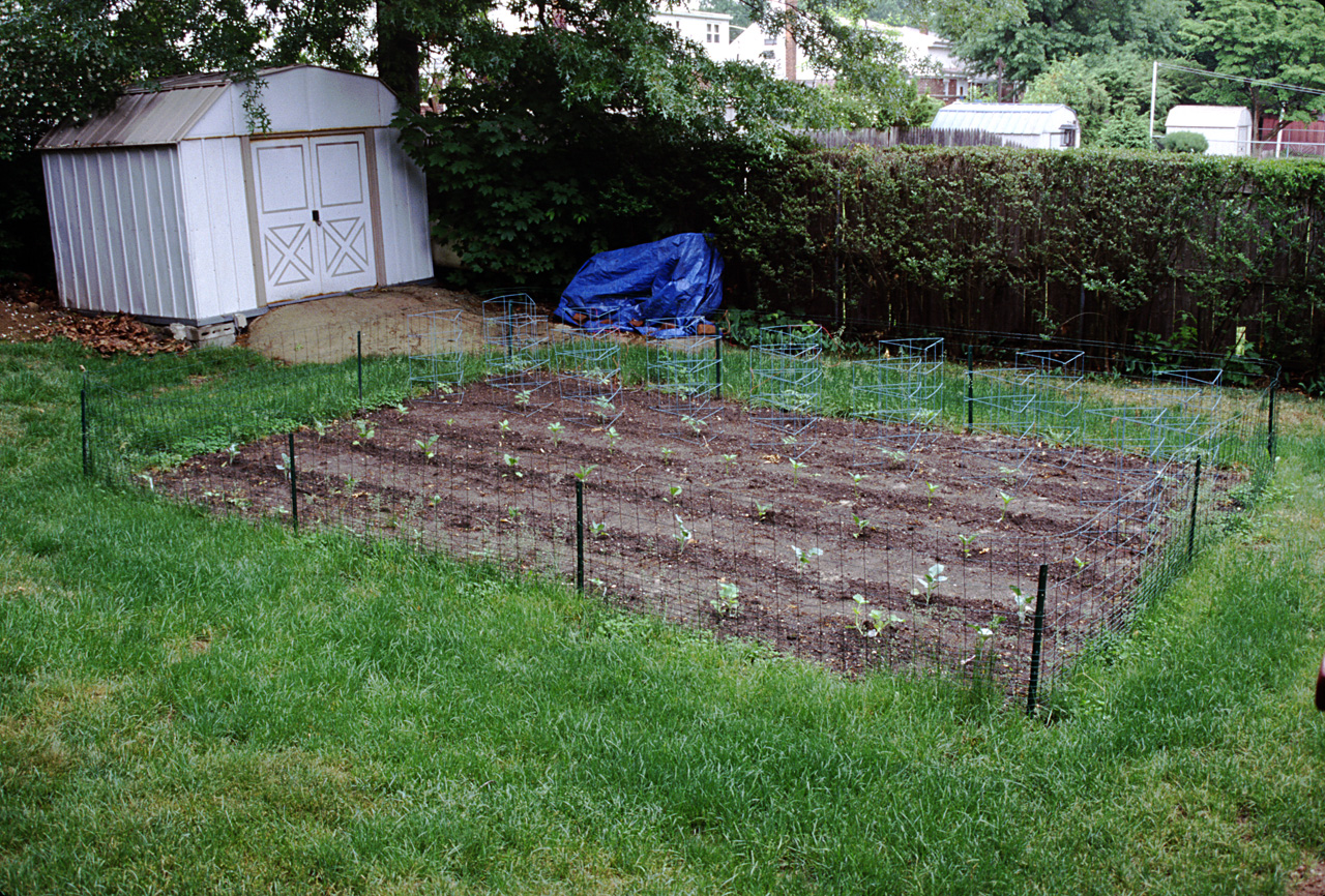 2001-05-26, 001, Garden in back yard, Saddle Brook, NJ