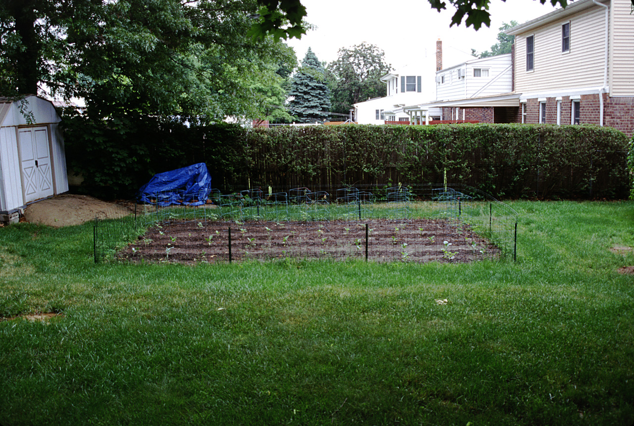 2001-05-26, 002, Garden in back yard, Saddle Brook, NJ