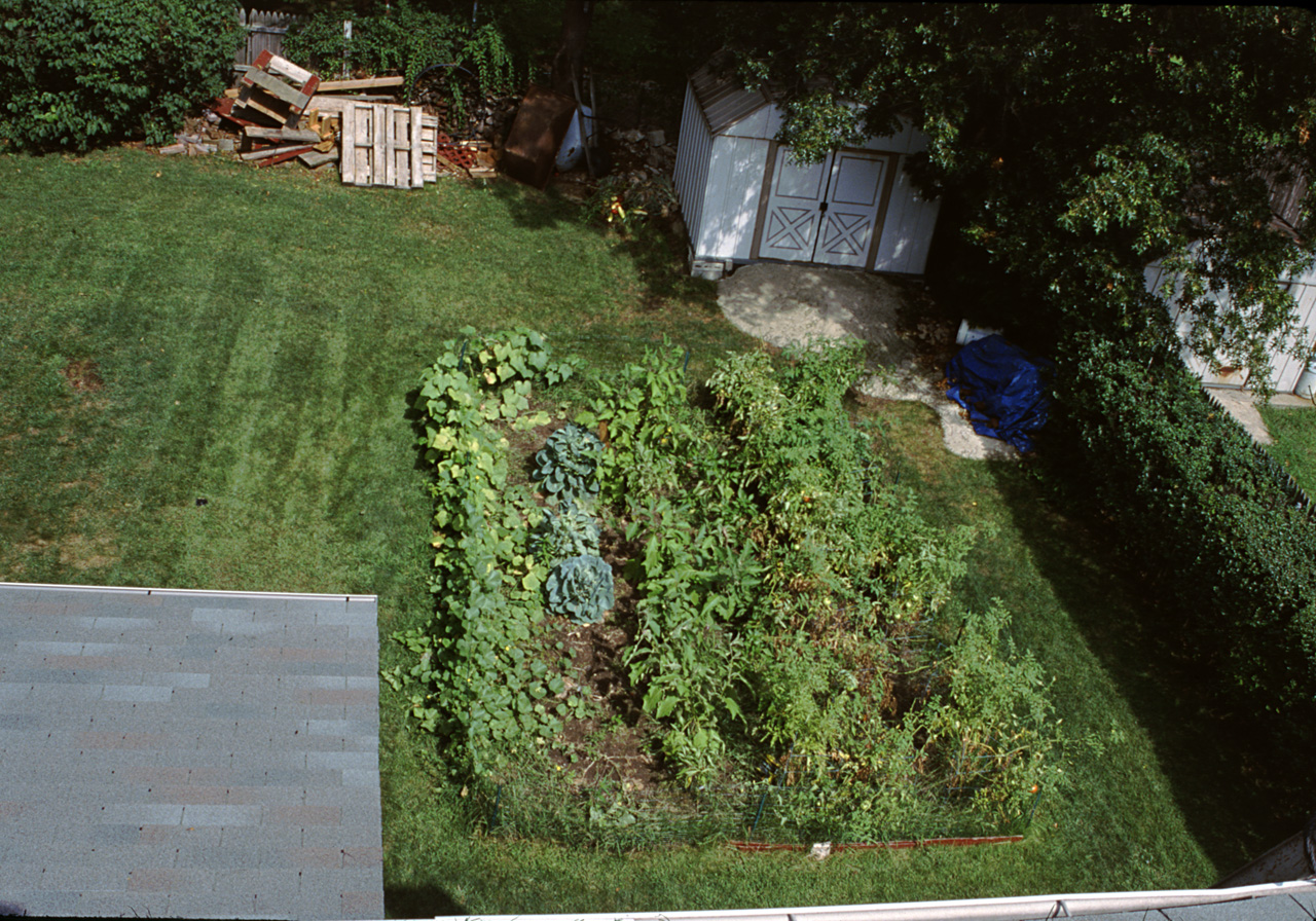 2001-08-25, 024, Garden in back yard, Saddle Brook, NJ