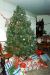 1991-12-25, 003, Christmas Tree, Saddle Brook, NJ