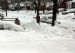 1993-03-13, 002, The Big Snow Storm of '93, Saddle Brook, NJ