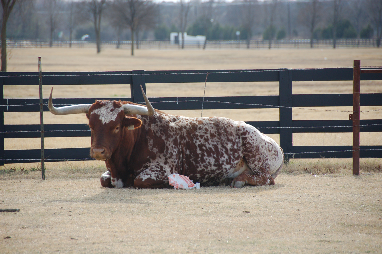 08-12-12, 047, South Fork, Dallas, TX