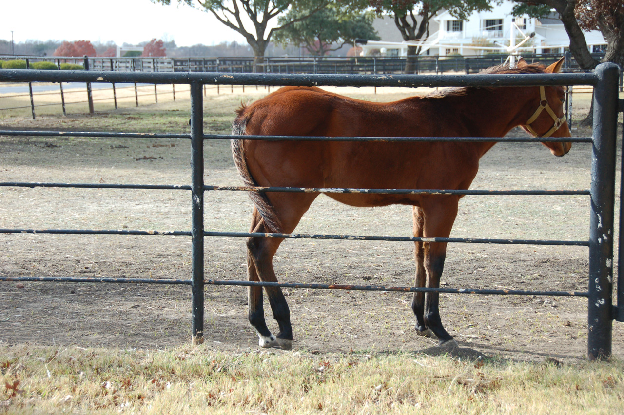 08-12-12, 059, South Fork, Dallas, TX