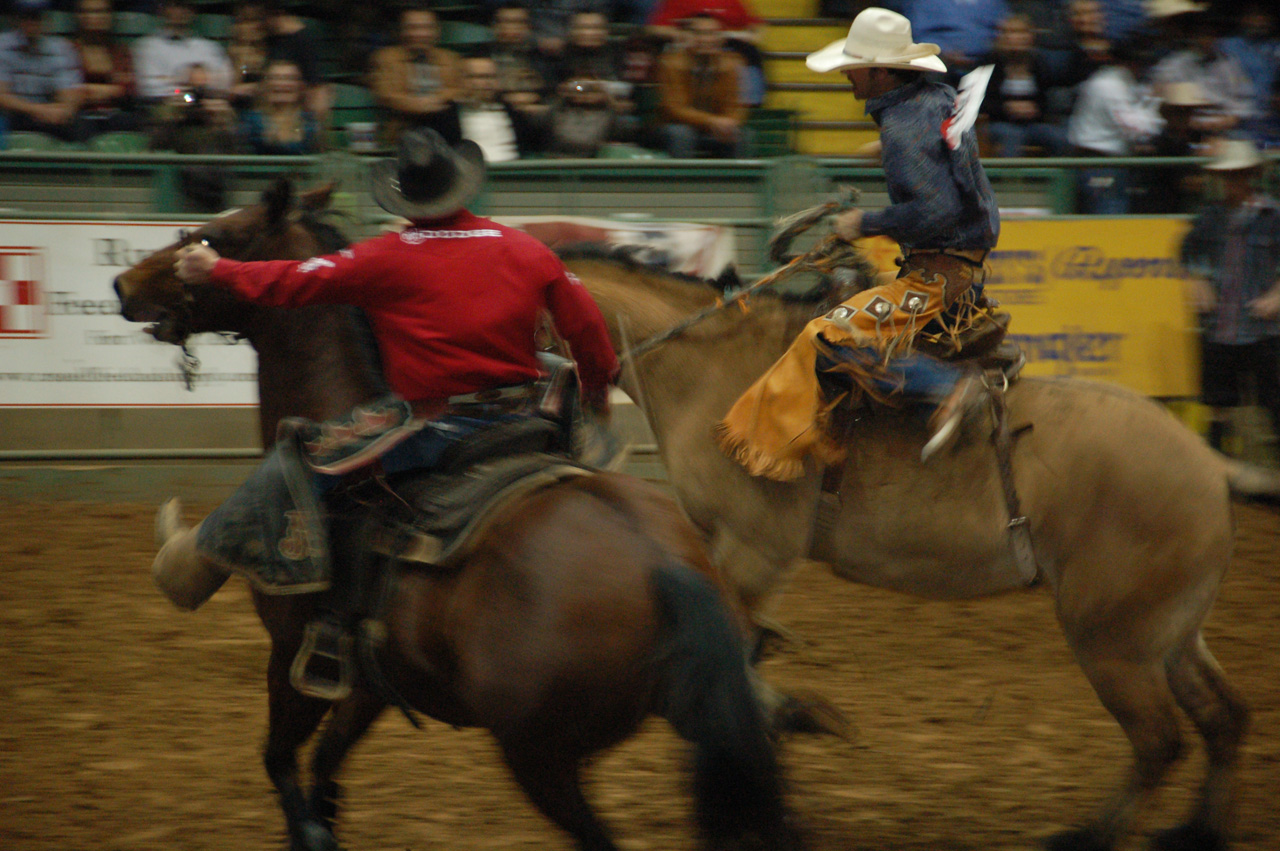 08-12-12, 091, Rodeo, Ft. Worth, Dallas, TX