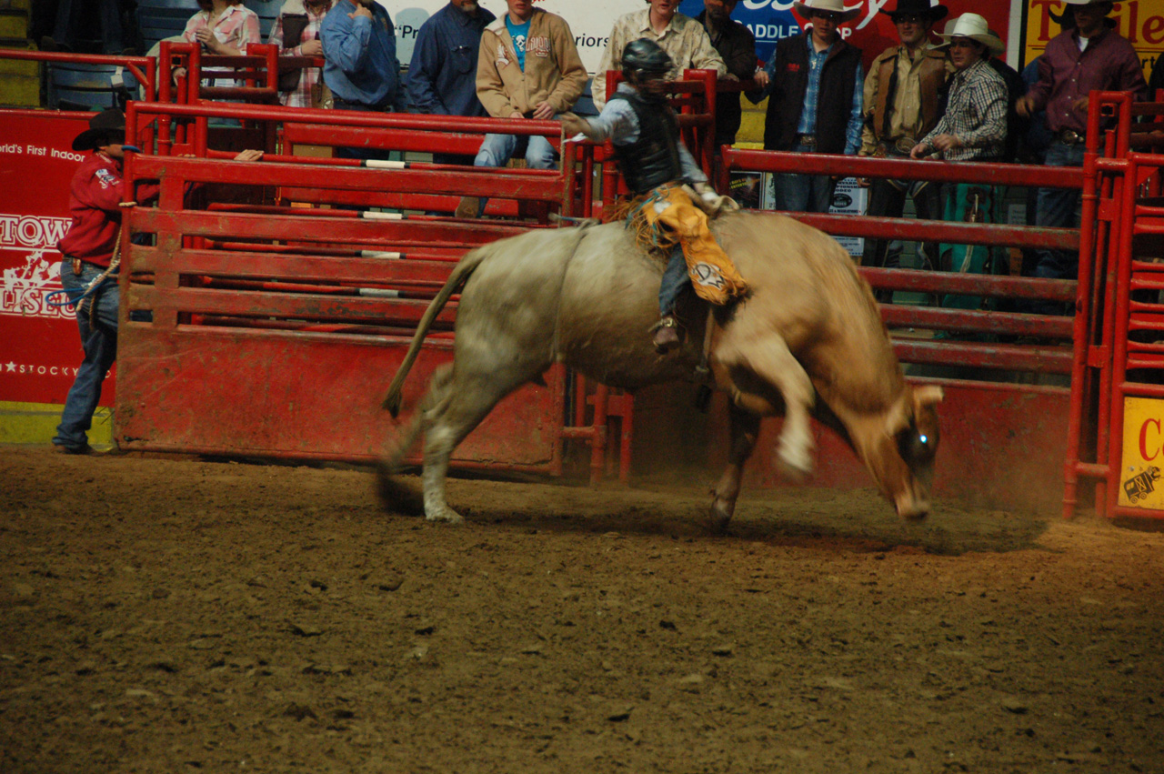 08-12-12, 096, Rodeo, Ft. Worth, Dallas, TX