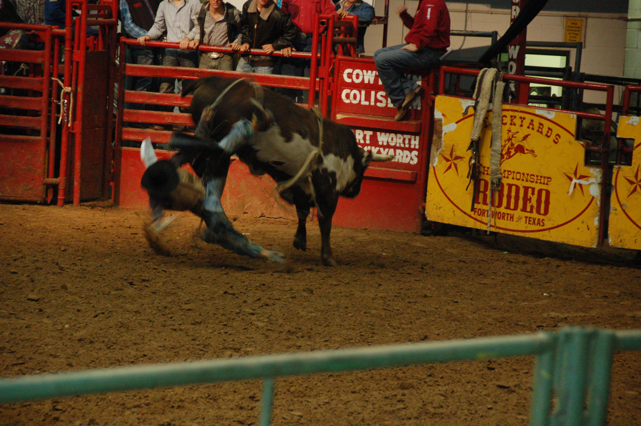 08-12-12, 105, Rodeo, Ft. Worth, Dallas, TX