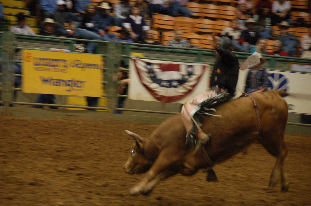 08-12-12, 108, Rodeo, Ft. Worth, Dallas, TX